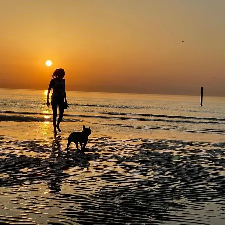 Apartment By Juliz - Location At The & In Center! *