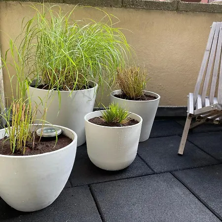 By Juliz - Location At The & In Center! Apartment *